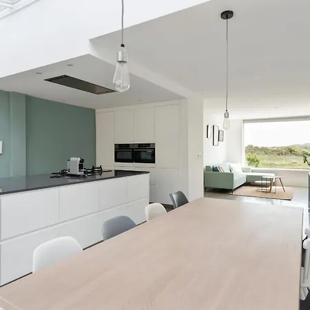 Zwaansvoort Holiday home *